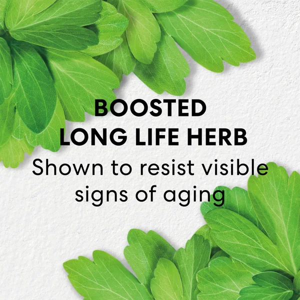 BareMinerals Exclusive Skinlongevity Long Life Herb Night Treatment 50ml