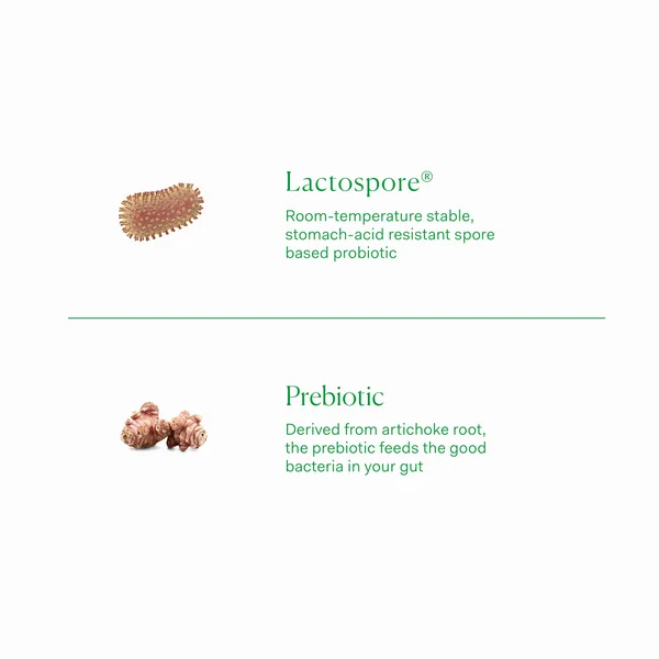 The Nue Co. Prebiotic + Probiotic (60 Capsules)