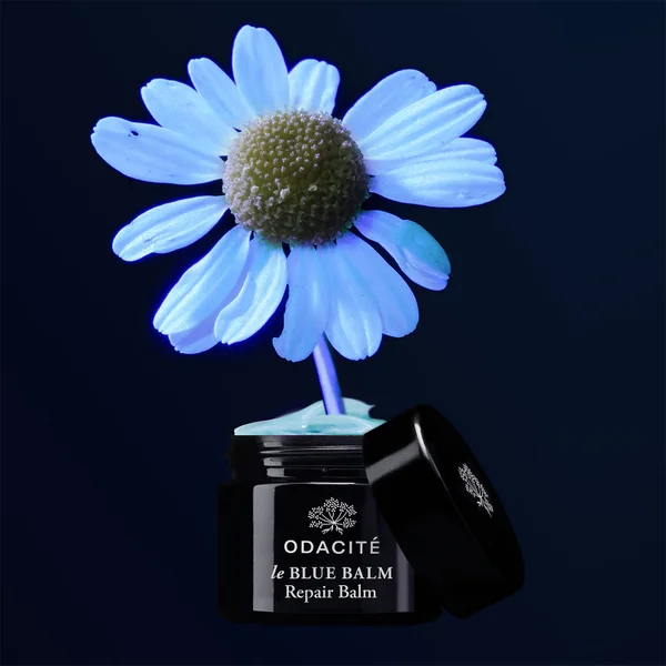 Odacité Le Blue Balm Chamomile And Shea Butter Repair Balm 50ml
