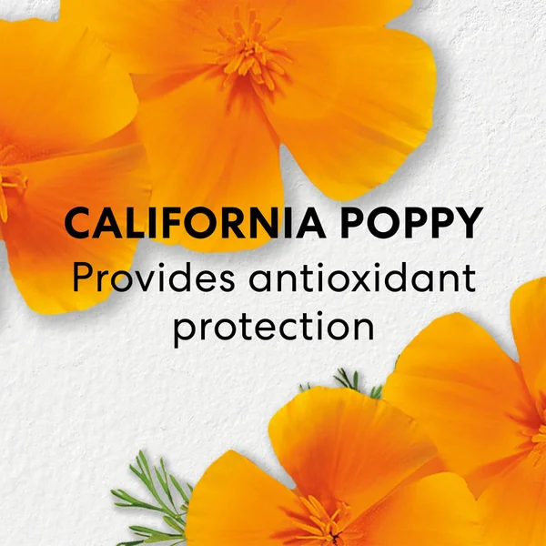 BareMinerals Exclusive Skinlongevity Long Life Herb Night Treatment 50ml