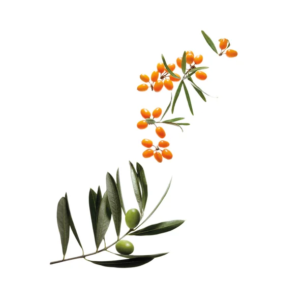 BareMinerals Mineralist Hydra Smoothing Lipstick 3.6g (Various Shades)