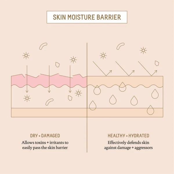 Biossance Squalane And Ectoin Overnight Rescue 50ml