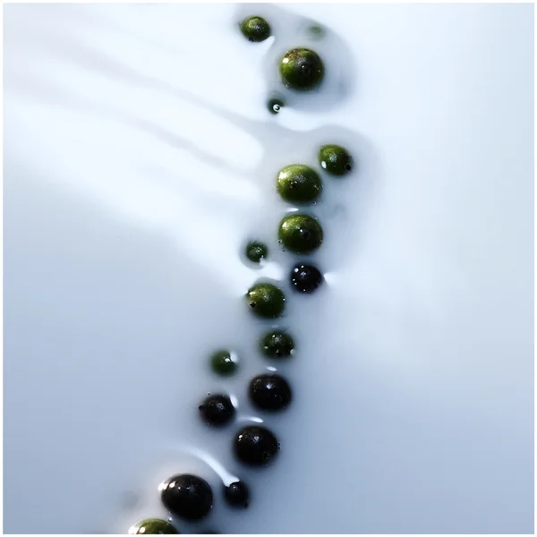 BYREDO Blanche Absolu De Parfum 50ml