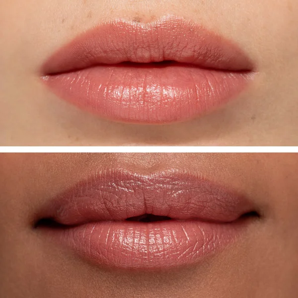 Chantecaille Lip Veil 2.5g (Various Shades)