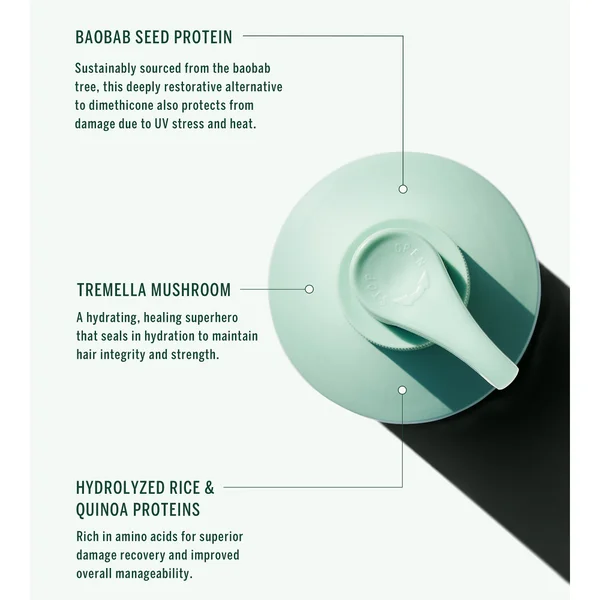 Corpus Cypress Conditioner 9oz