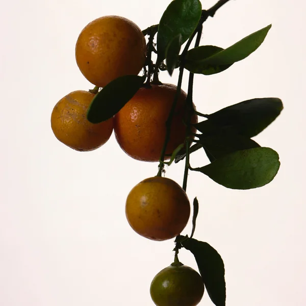 Fenty Eau De Parfum 30ml