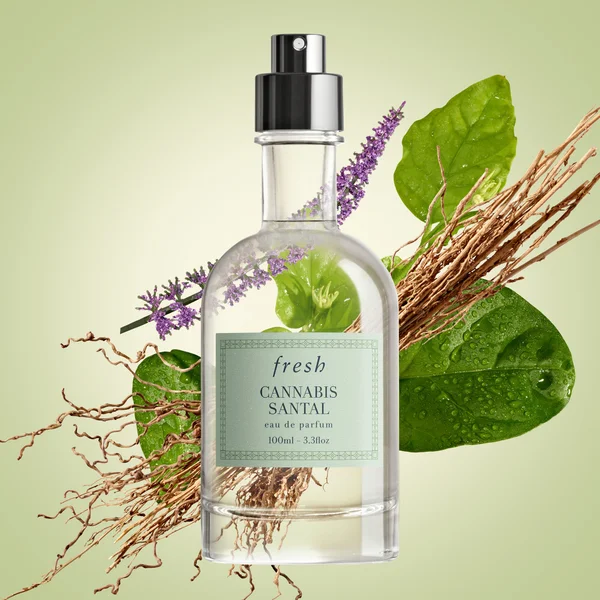 Fresh Cannabis Santal Eau De Parfum 100ml