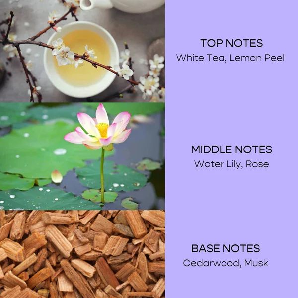 Herlum Copa Dew All-Over Nourishing Oil 15ml