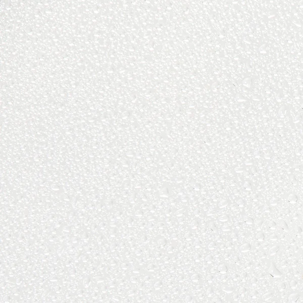 Kora Organics Active Algae Minty Mist 100ml