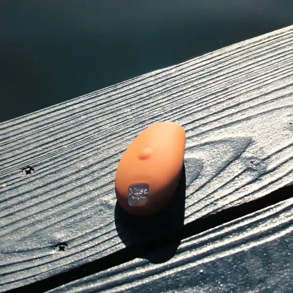 Muse By Coco De Mer Pebble