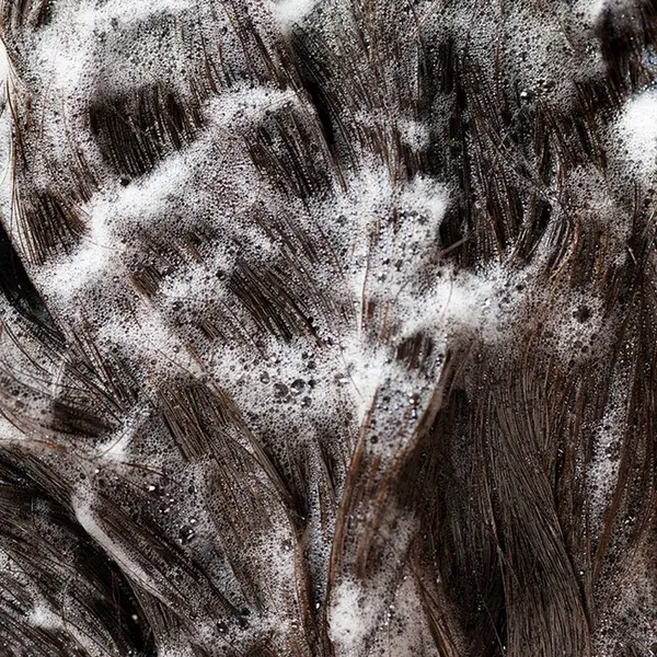 Oribe Signature Shampoo 1L Refill