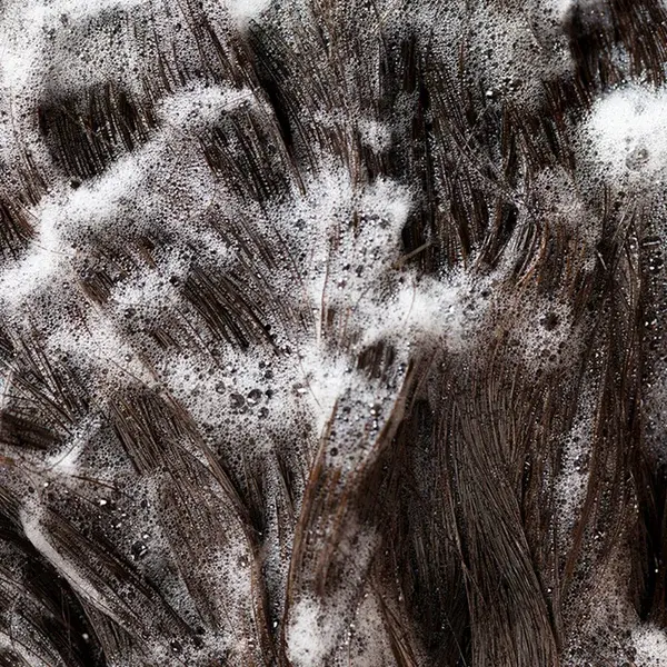 Oribe Signature Shampoo 250ml