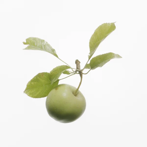 SUSANNE KAUFMANN Enzyme Exfoliator 50ml