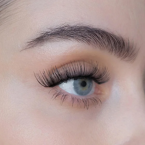 Sweed Iconic Lashes - Black