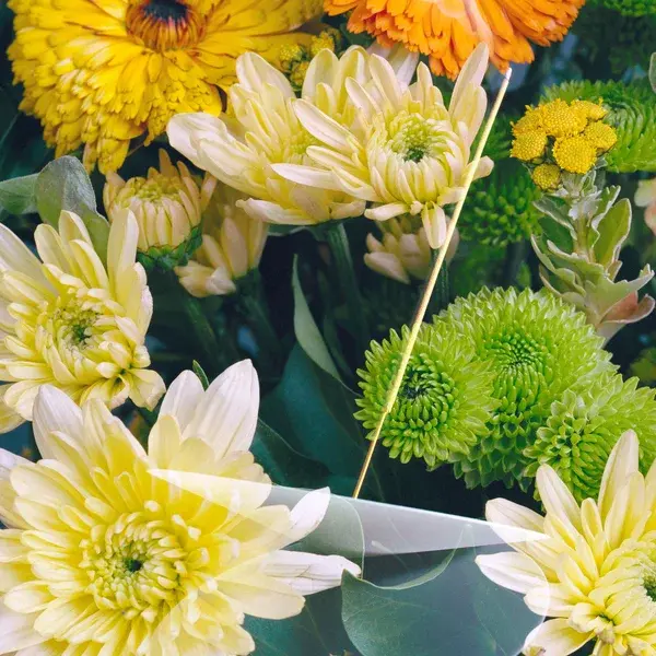 Vyrao Ember Incense 210g