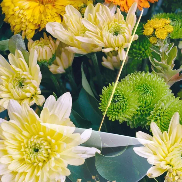 Vyrao Ember Incense 210g