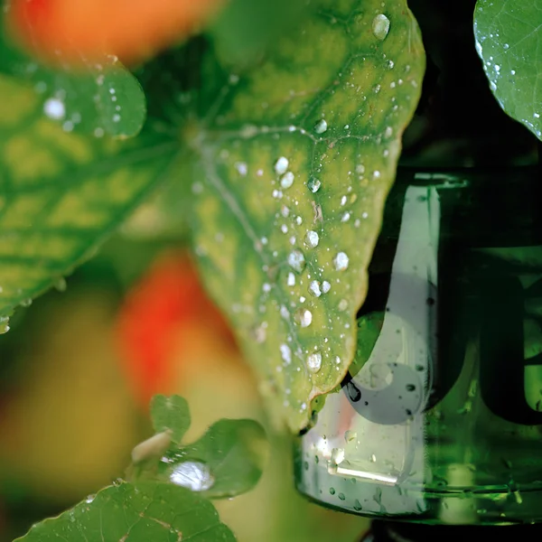 Vyrao I Am Verdant Eau De Parfum 50ml