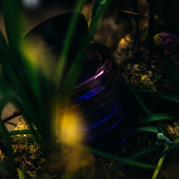 Vyrao Witchy Woo Eau De Parfum 50ml