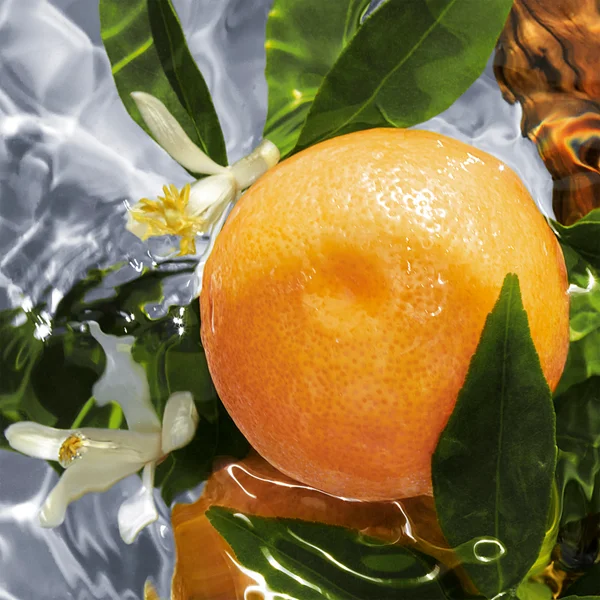 GUERLAIN Aqua Allegoria Pamplelune Eau De Toilette Refill 200ml