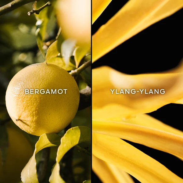 GUERLAIN Les Légendaires Terracotta Eau De Toilette 75ml