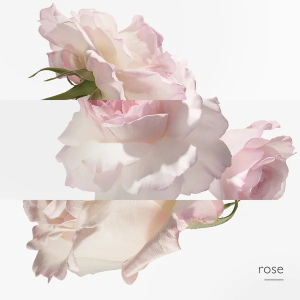 Hermès 24 Faubourg Eau De Toilette Natural Spray 50ml