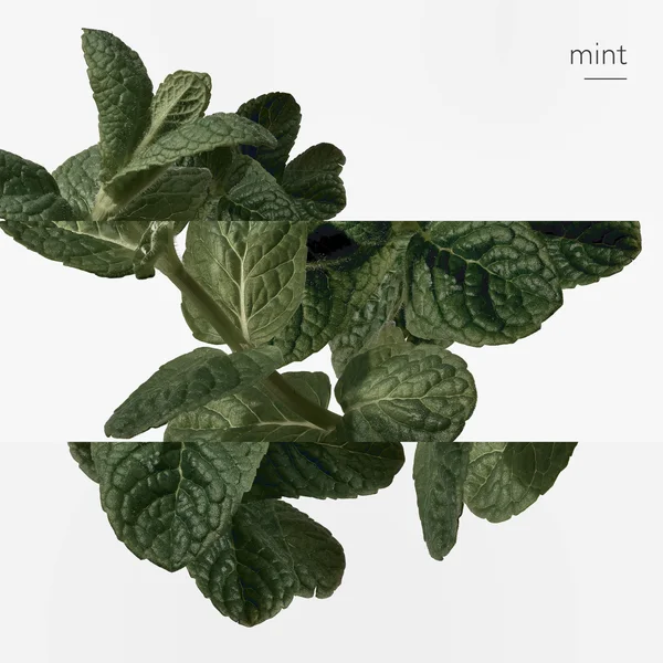 Hermès Eau D'orange Verte Eau De Cologne 100ml