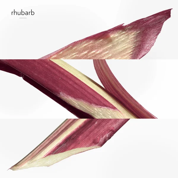 Hermès Eau De Rhubarbe écarlate Eau De Cologne 100ml