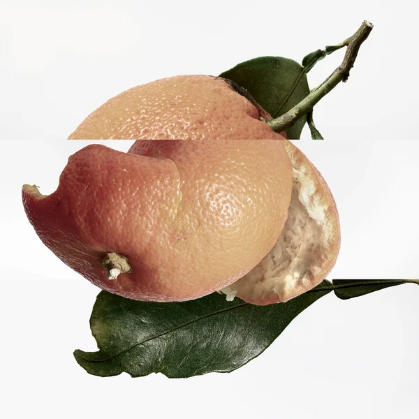 Hermès Eau Des Merveilles Perfumed Body Lotion 200ml