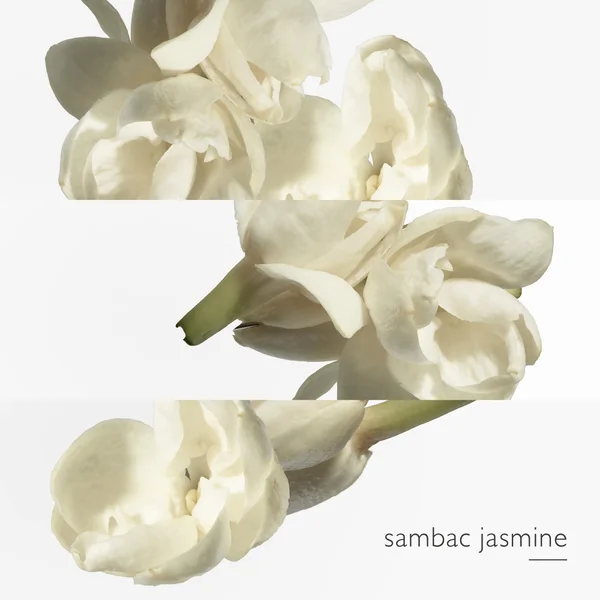 Hermès Le Jardin De Monsieur Li Eau De Toilette 50ml