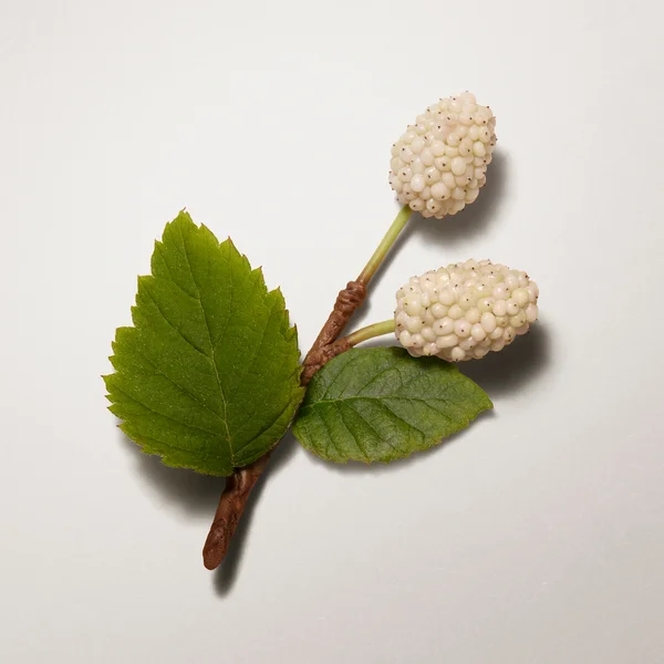 Hermès Les Mains Hermès Complete Hand Care 50ml