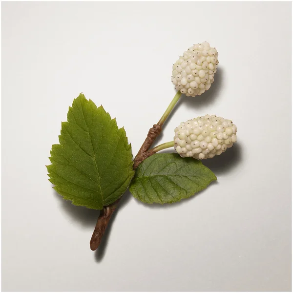 Hermès Plein Air Complexion Balm SPF 30 (Various Shades) 40ml