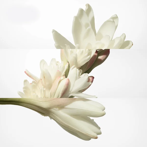 Hermès Twilly D'Hermès Body Shower Cream 200ml