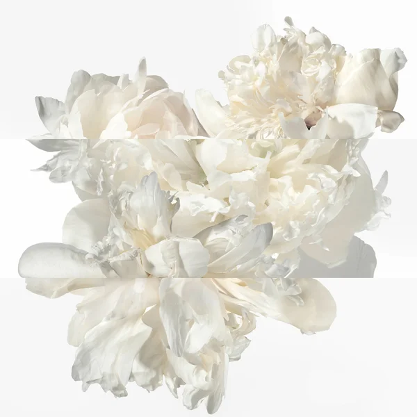 Hermès Twilly D'Hermès Eau Ginger Eau De Parfum 50ml