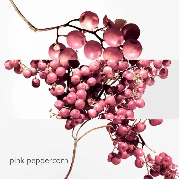 Hermès Twilly D'Hermès Eau Poivrée Eau De Parfum 50ml