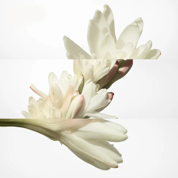 Hermès Twilly D'Hermès Moisturizing Body Lotion 200ml