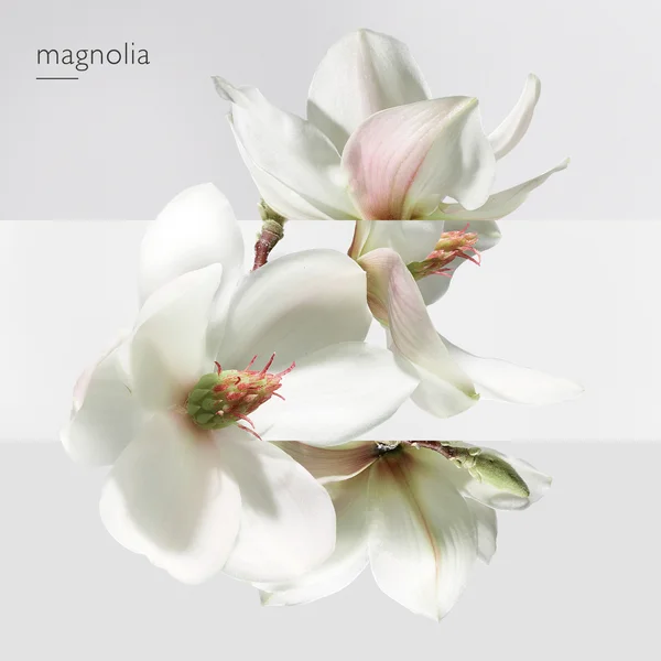 Hermès Un Jardin Sur La Lagune Eau De Toilette 50ml