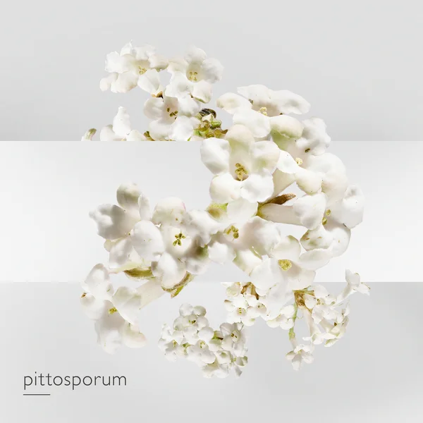 Hermès Un Jardin Sur La Lagune Eau De Toilette 50ml