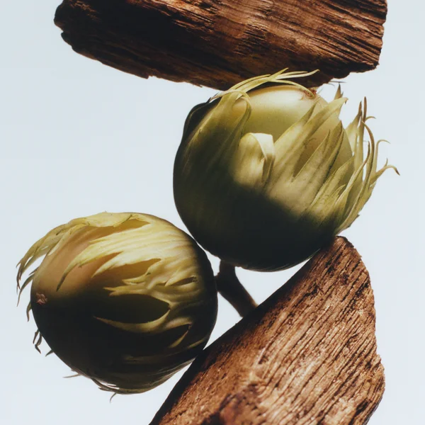 Jo Malone London English Oak And Hazelnut Cologne - 100ml