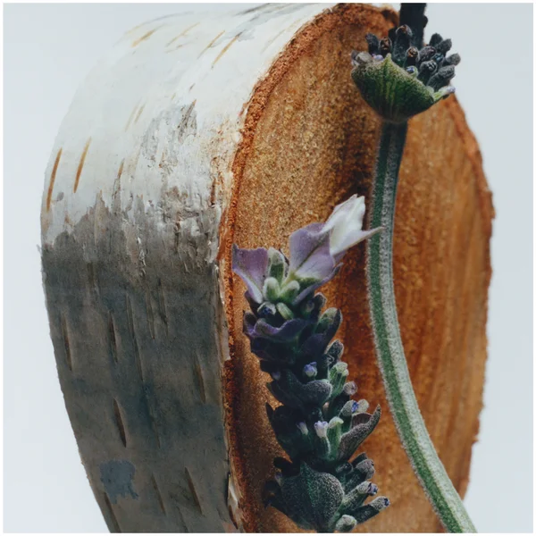 Jo Malone London English Oak & Hazelnut Cologne 9ml