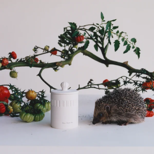 Jo Malone London Green Tomato Vine Townhouse Candle