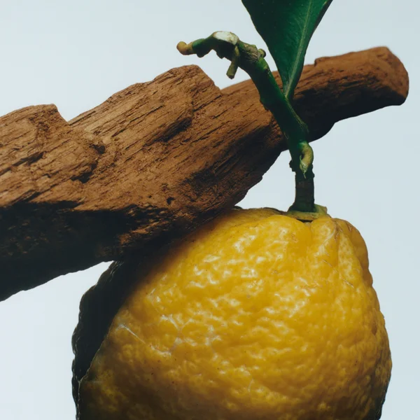 Jo Malone London Oud & Bergamot Body & Hand Wash 250ml