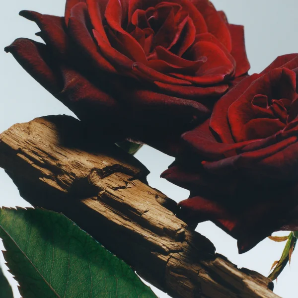 Jo Malone London Velvet Rose & Oud Diffuser 165ml