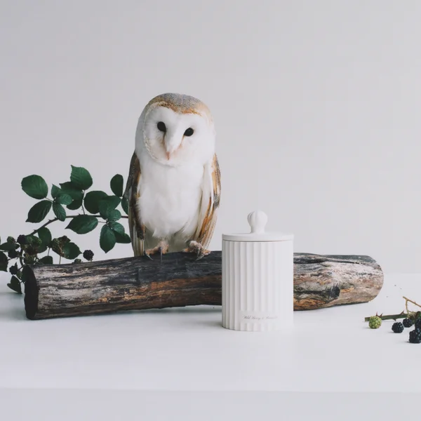 Jo Malone London Wild Berry & Bramble Townhouse Candle