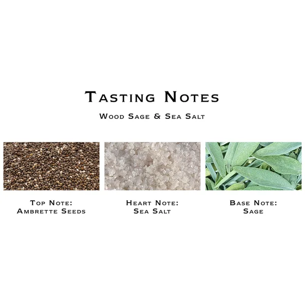 Jo Malone London Wood Sage & Sea Salt Diffuser 165ml