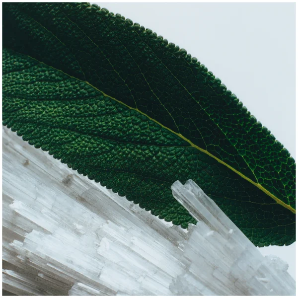 Jo Malone London Wood Sage & Sea Salt Travel Collection