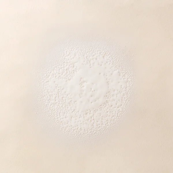 Living Proof - Living Proof Styling Spray Smooth 200Ml - 200ml