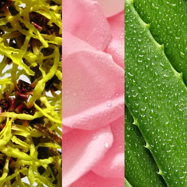 Mario Badescu Witch Hazel & Rosewater Toner 236ml