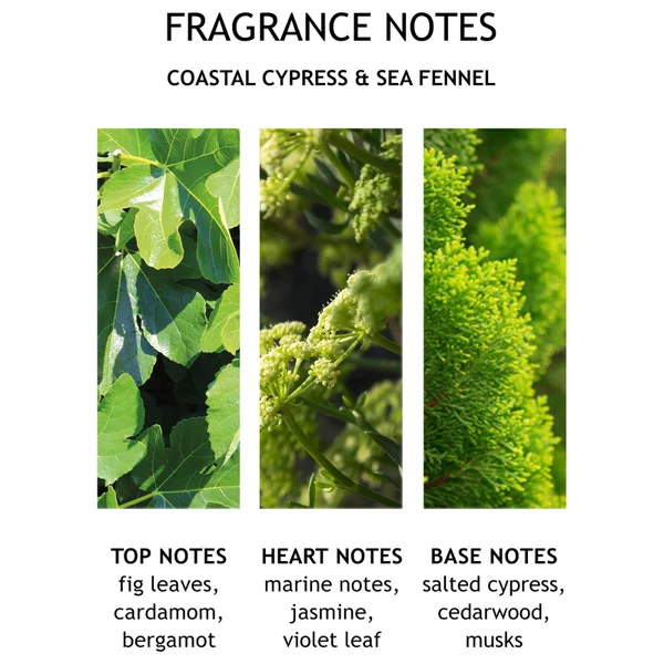 Molton Brown Coastal Cypress And Sea Fennel Bath And Shower Gel 300ml