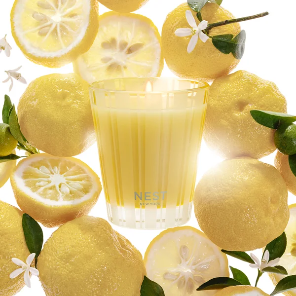 NEST New York Sunlit Yuzu & Neroli Classic Candle 230g