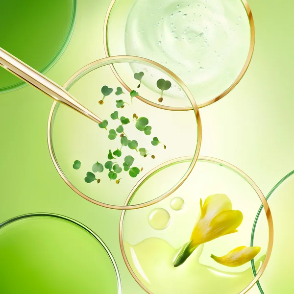 NUXE The Global Anti-Aging Cream Nuxuriance Ultra 50ml